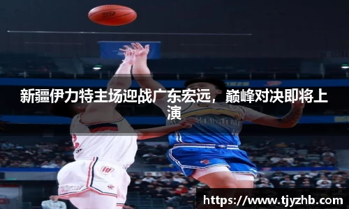 333体育官网