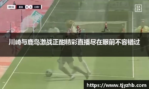 333体育