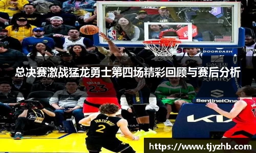 333体育