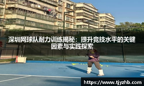 333体育