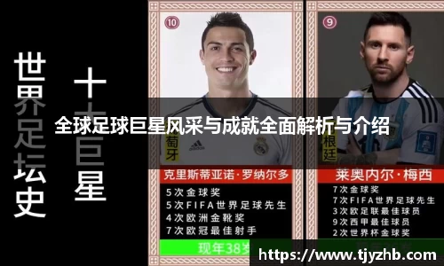 333体育官网
